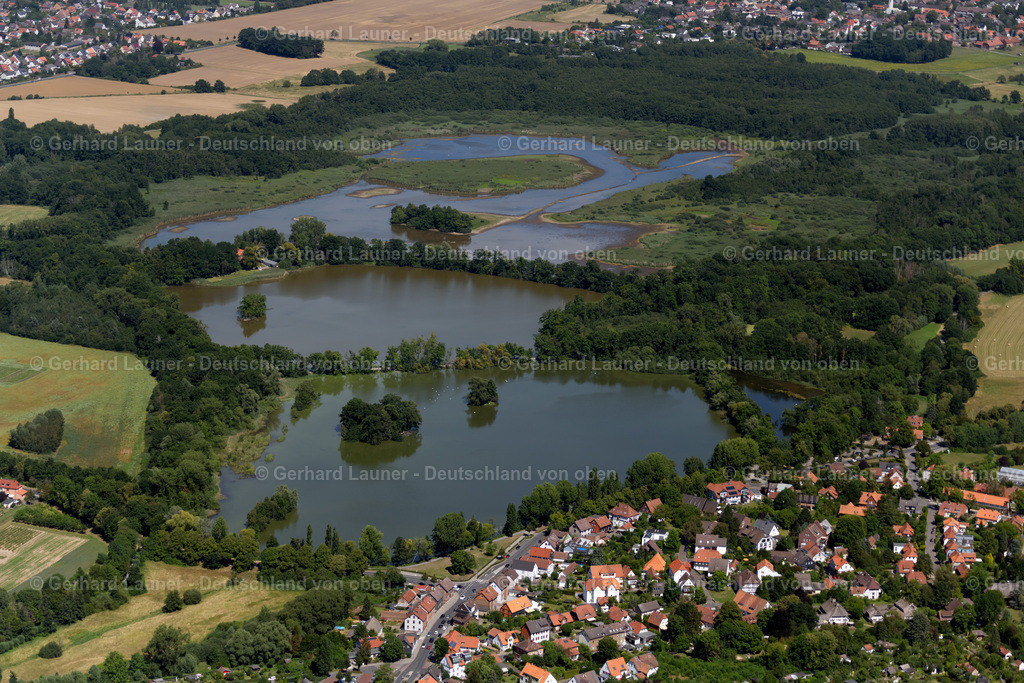 4036223 | BRAUNSCHWEIG 31.07.2020 Uferbereiche der Teichanlagen zur Fischzucht Fischereibetriebe Klaus Lübbe in Braunschweig im Bundesland Niedersachsen, Deutschland. // Shore areas of the ponds for fish farming Fischereibetriebe Klaus Luebbe in Brunswick in the state Lower Saxony, Germany. Foto: Gerhard Launer