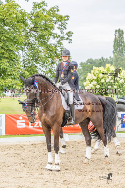 26.7.25 D2 23 (48 von 155) | mandyhollmannphotographie