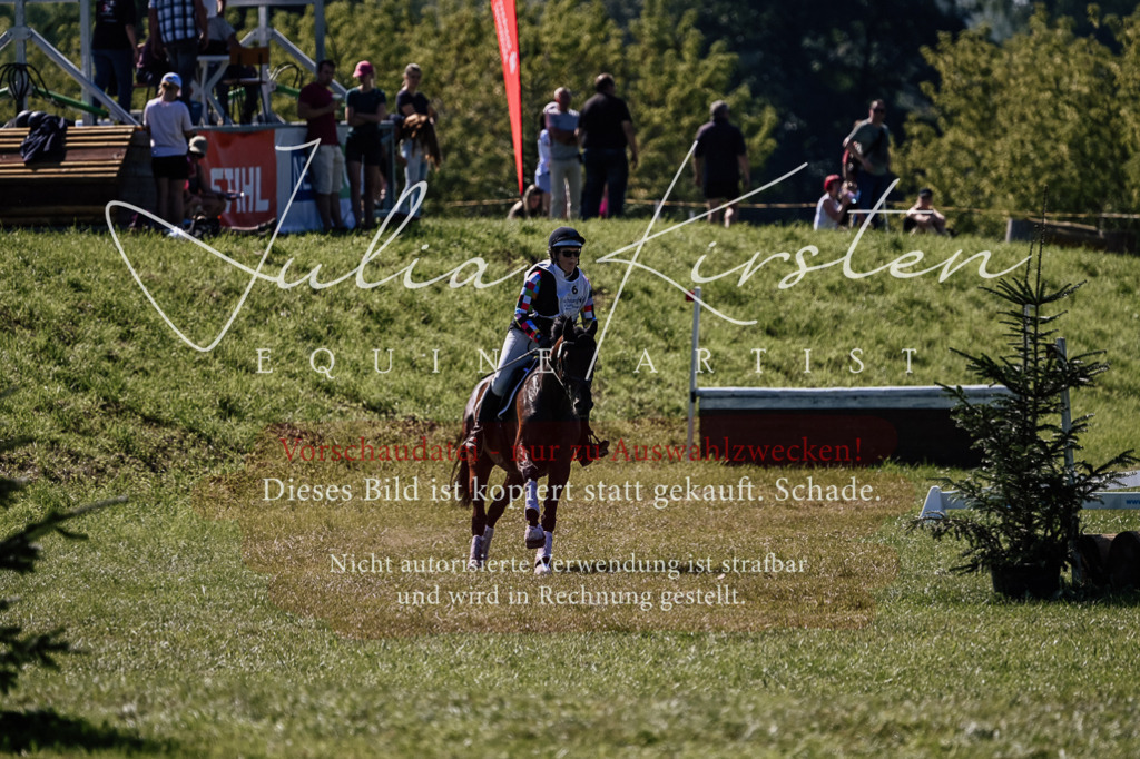 DSC_1561 | Pferde- und Turnierfotografie in Westsachsen. Pferdeportraits, Auftragszeichnungen und intuitive Kunst.