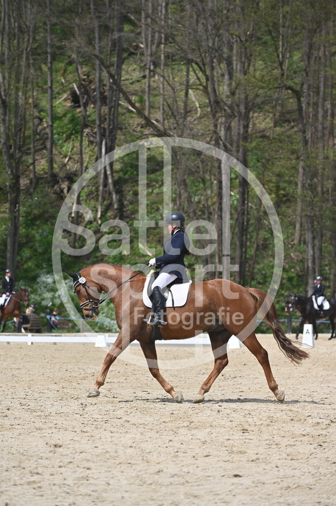 DSC_2921 | sattelsport - Realisiert mit Pictrs.com