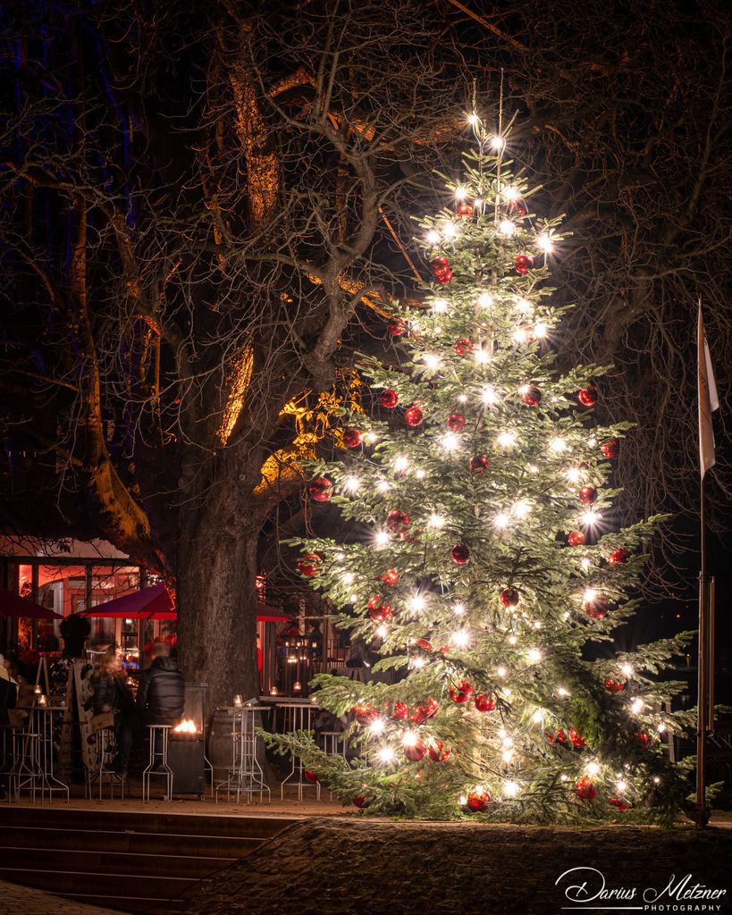 DSC_6787 3 | Fotografien, Fotos und Bilder aus Mainz, Frankfurt, Wiesbaden und anderen Orten auf der Welt - Fotografiert von Darius Metzner