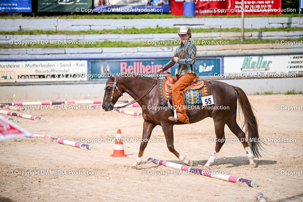 ZS2_3663 | dv-media-shop - Realisiert mit Pictrs.com