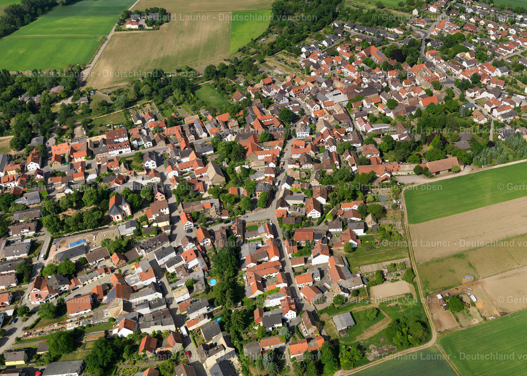 3134015-Selzen | Selzen