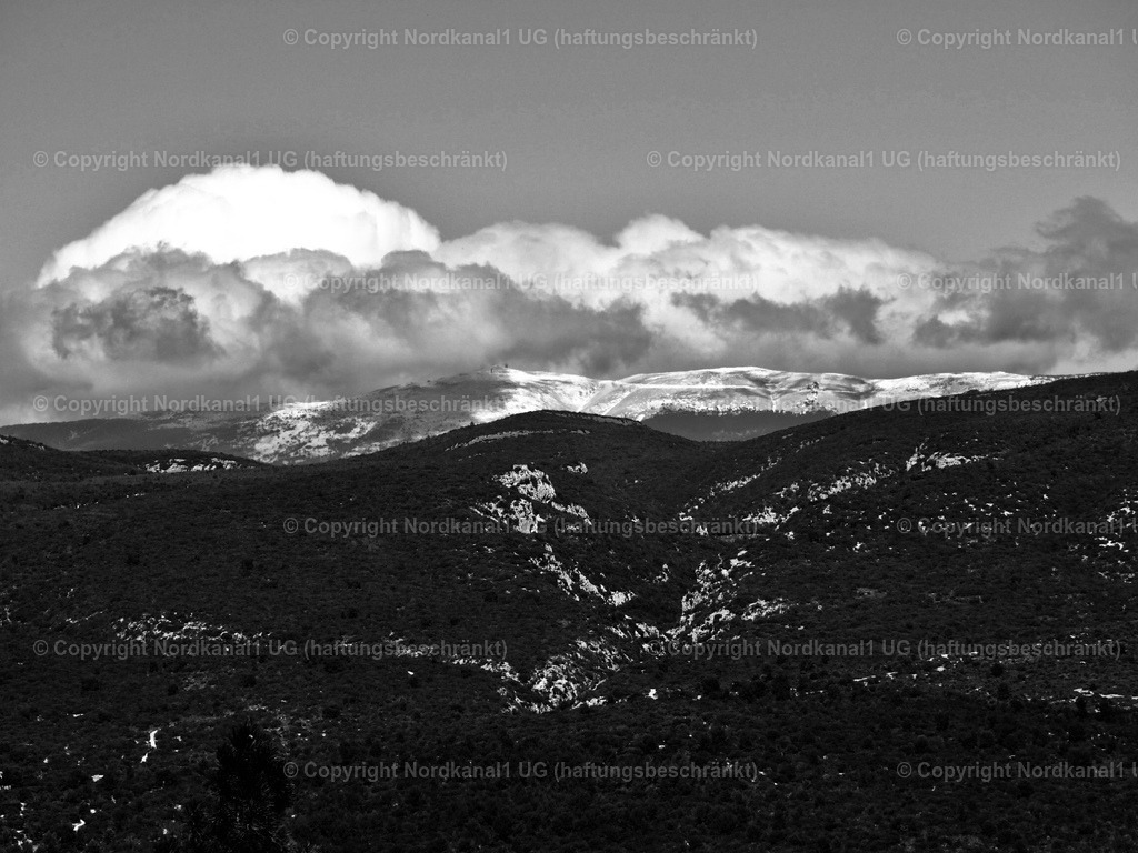 IMG_2982 | OLYMPUS DIGITAL CAMERA          - Realisiert mit Pictrs.com