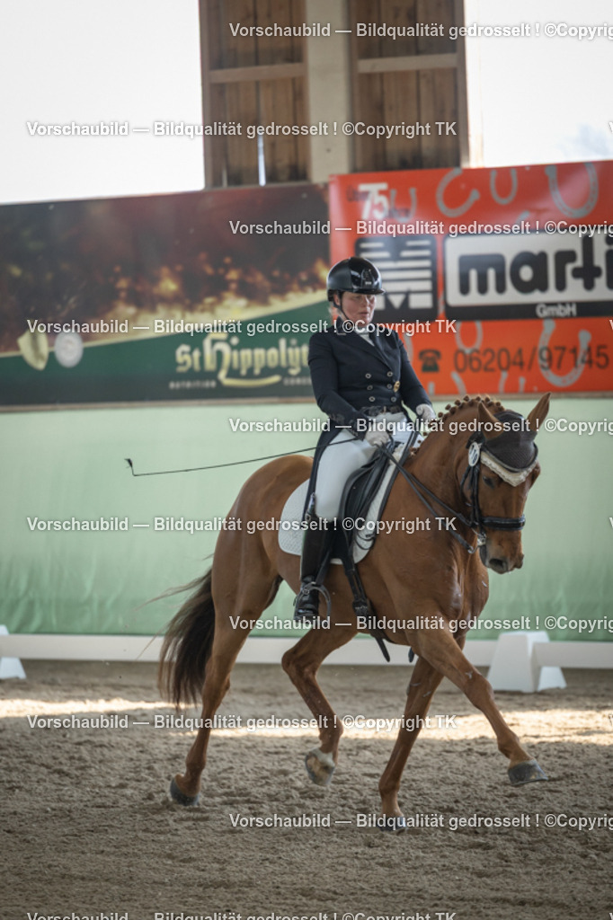 _D5A0146 | Emotionale Pferde- & People-Fotografie rund um Heidelberg, Leimen & Umgebung. Natürliche Fotos von Pferd, Mensch & Familie. Jetzt Termin sichern!