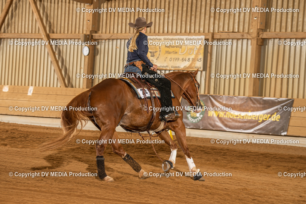 NID02003 | dv-media-shop - Realisiert mit Pictrs.com