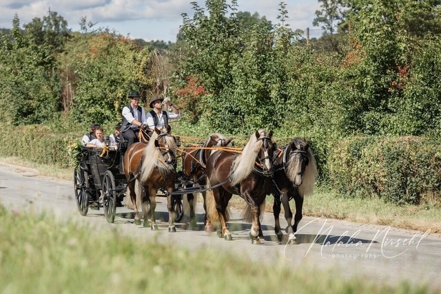 7V6A1150 | natalia-nirschl-photography