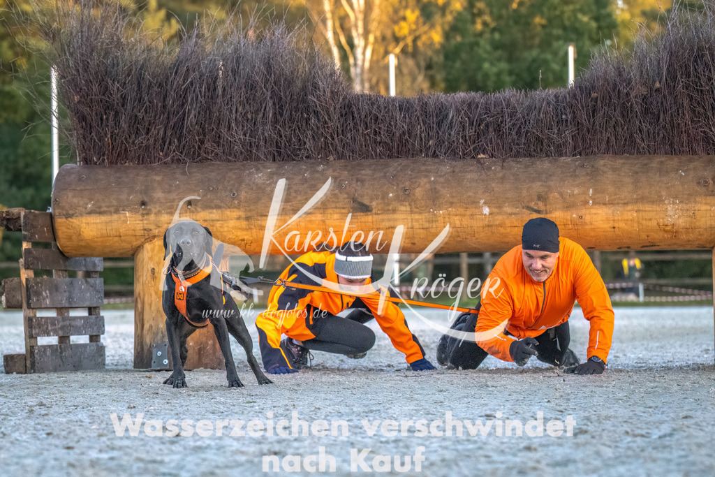 0822-00206 | kk-dogfotos