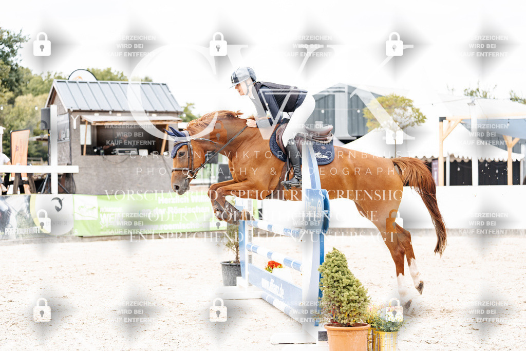 CK909513 | Turnierfotografie Pferdefotografie Trier Rheinland-Pfalz Pferdesport Reitsport Tierfotografie Sportfotografie Pferdevideo Pferdevideografie Equestrianvideography equestrianphotography  - Realisiert mit Pictrs.com