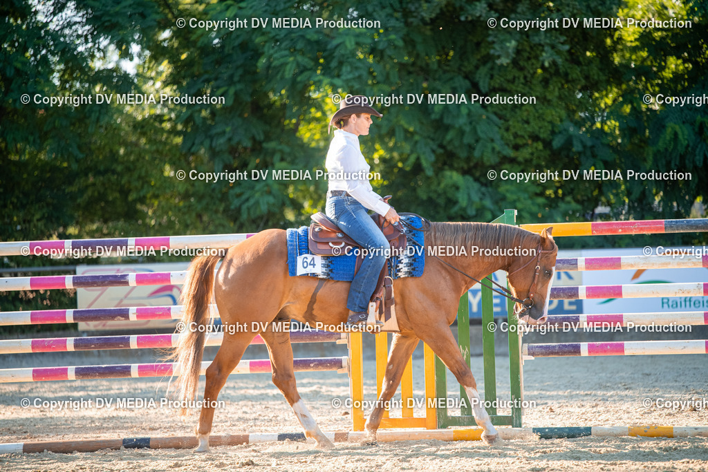 EWP_7197 | dv-media-shop - Realisiert mit Pictrs.com