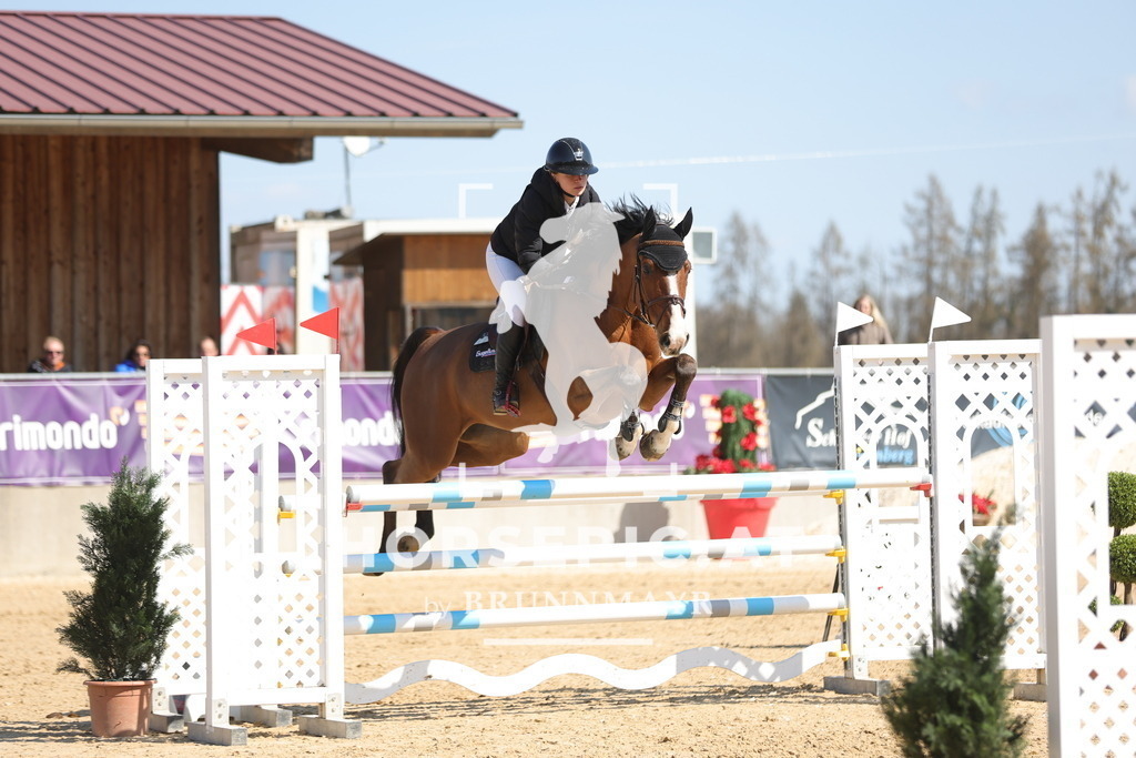 0P6A0472 | Willkommen bei Brunnmayr - Design & Fotografie – Ihrem Spezialisten für Reitturniere und Pferdeveranstaltungen in Oberösterreich, Salzburg und Bayern! Seit über 17 Jahren sind wir leidenschaftlich dabei.