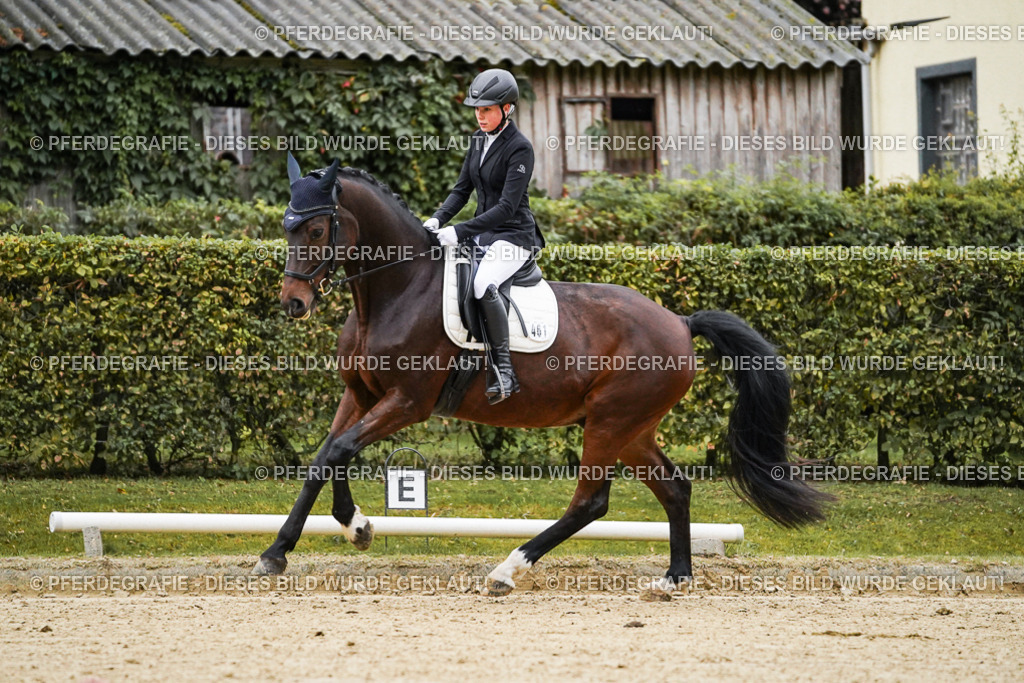 DSC06423 | Pferdegrafie