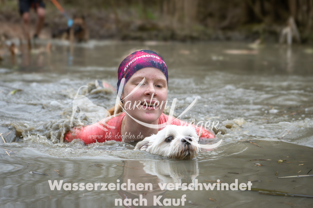 1338_ZZ91206 | kk-dogfotos