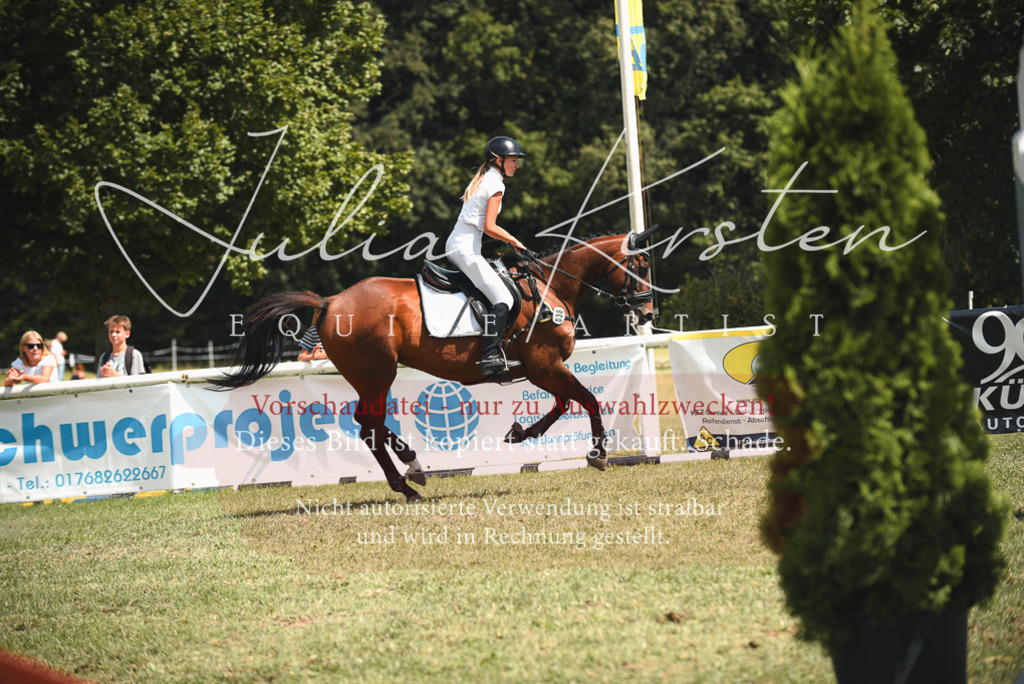 DSC_6669 | Pferde- und Turnierfotografie in Westsachsen. Pferdeportraits, Auftragszeichnungen und intuitive Kunst.
