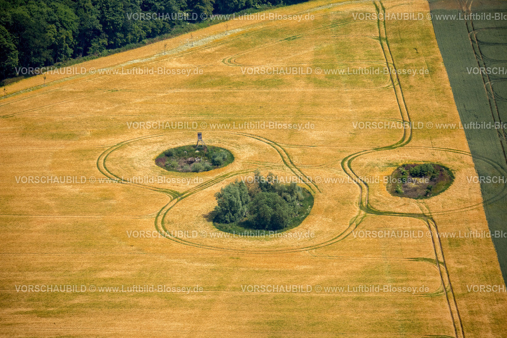 Luebeck15069378Travemuende | Büsche in einem Feld in Form eines Bärengesichts, Küstenlandschaft zwischen Priwall und Barendorf, Travemünde,  Dassow, Lübecker Bucht, Hansestadt, Mecklenburg-Vorpommern, Deutschland