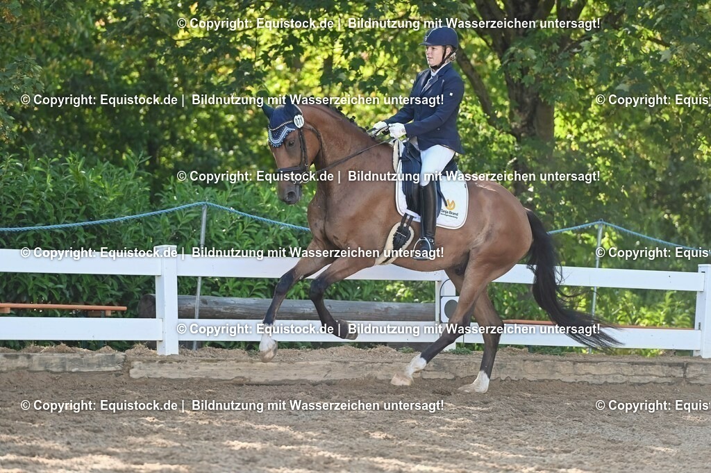 20230715_06_Dressurpferdeprfg. Kl.A_0214 | equistock