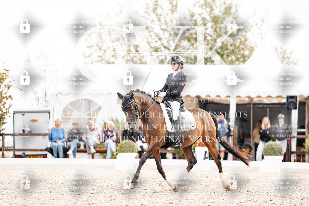 CK901627 | Turnierfotografie Pferdefotografie Trier Rheinland-Pfalz Pferdesport Reitsport Tierfotografie Sportfotografie Pferdevideo Pferdevideografie Equestrianvideography equestrianphotography  - Realisiert mit Pictrs.com