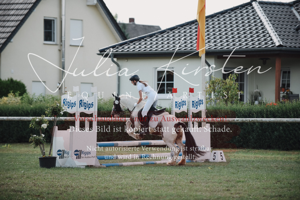 DSC_5646 | Pferde- und Turnierfotografie in Westsachsen. Pferdeportraits, Auftragszeichnungen und intuitive Kunst.