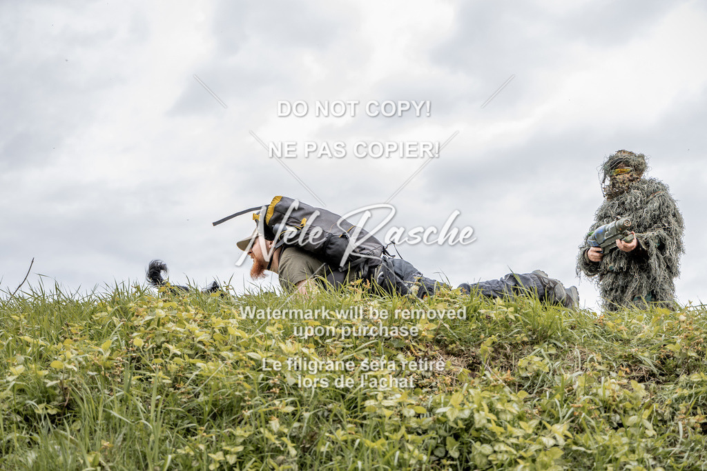 NR__2968 | nelerasche