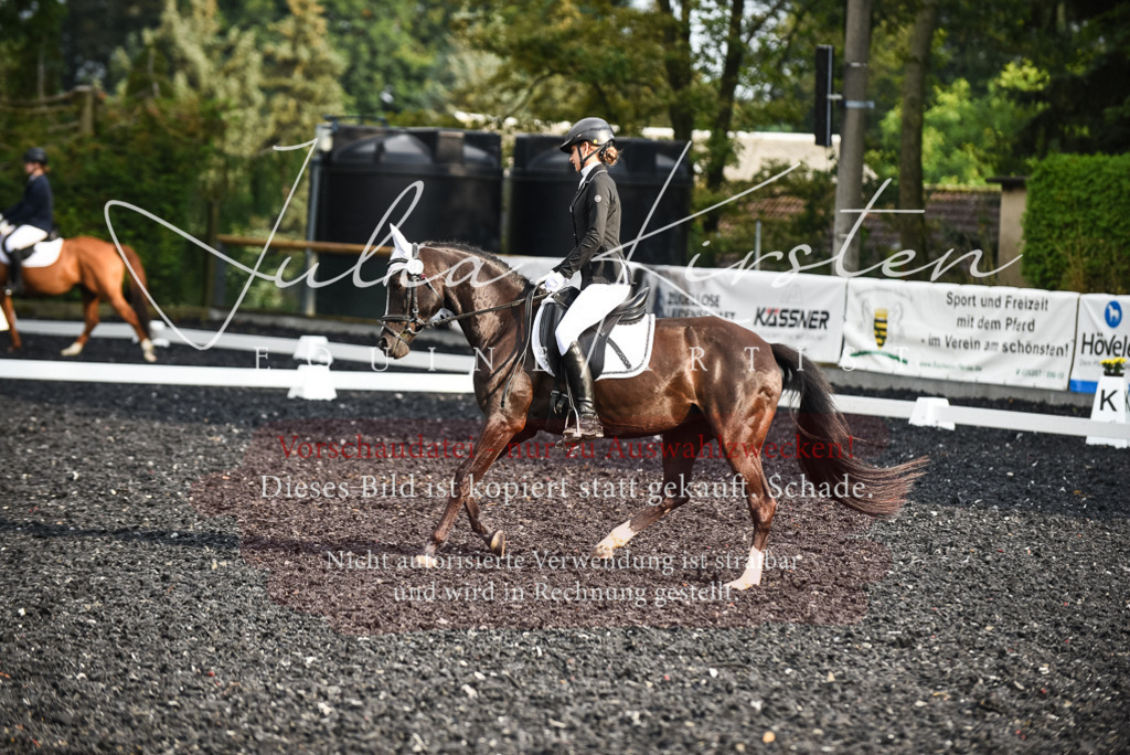 DSC_3392 | Pferde- und Turnierfotografie in Westsachsen. Pferdeportraits, Auftragszeichnungen und intuitive Kunst.