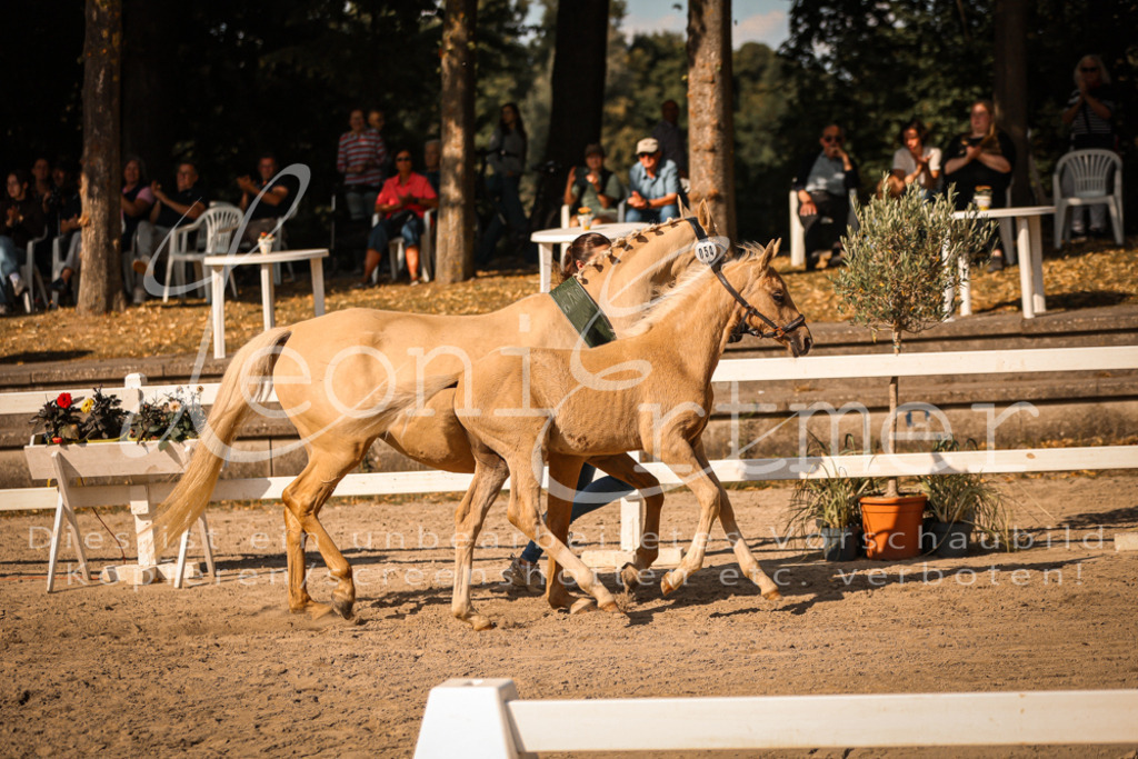 10.DoRP00239 | Leoni Ertmer Photography - Realisiert mit Pictrs.com