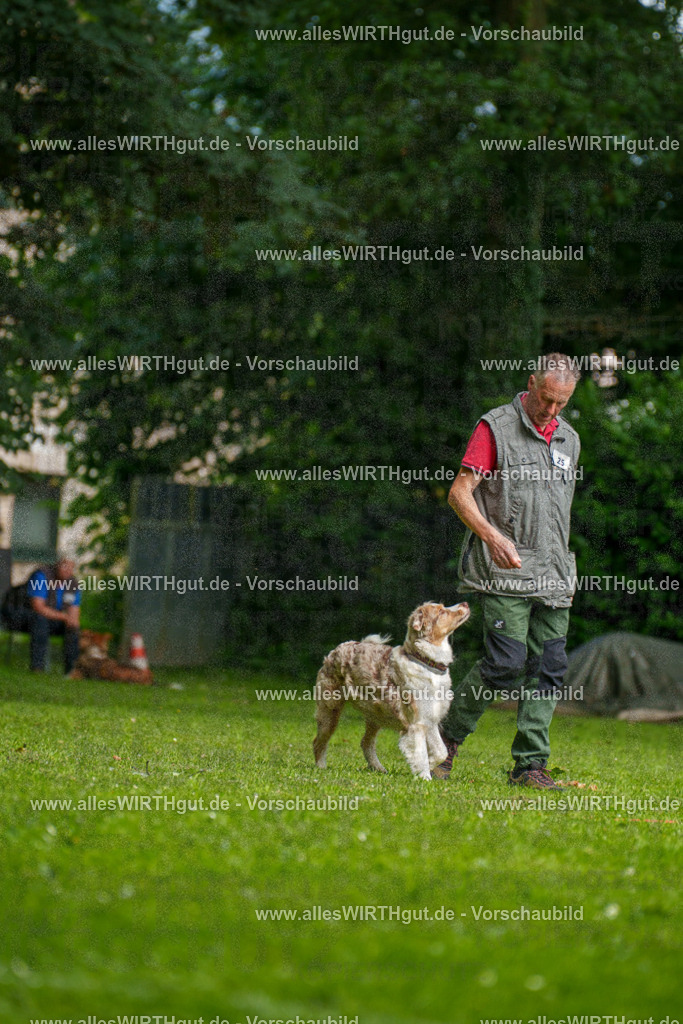 @allesWIRTHgut_Tierfotografie - www.allesWIRTHgut.de - 095908-7R507896 | Professionelle Tierfotografie in Mönchengladbach von Daniel Wirth (allesWIRTHgut). Liebevolle & natürliche Bilder von Hunden & Katzen für unvergessliche Erinnerungen.