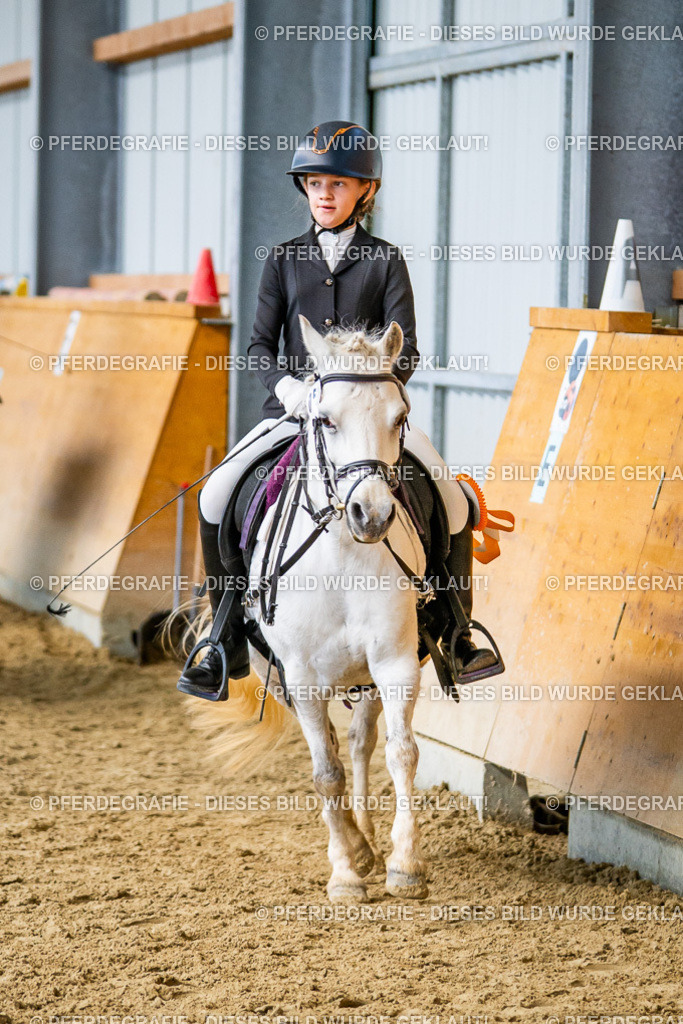 DSC03498 | Pferdegrafie