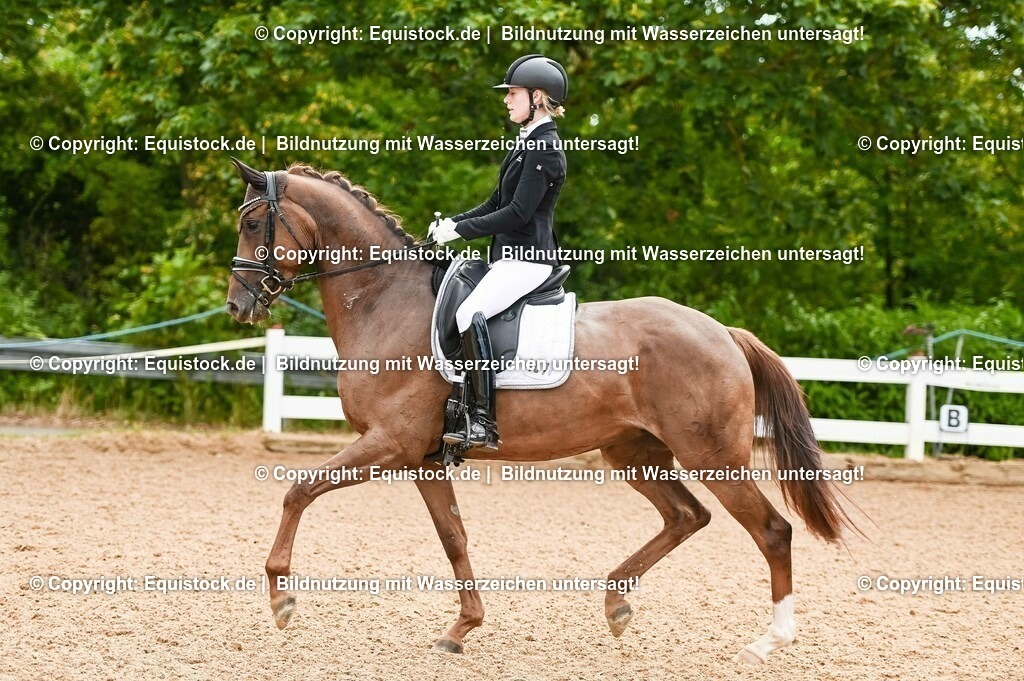 20230715_07_Dressurpferdeprfg. Kl.L_0048 | equistock