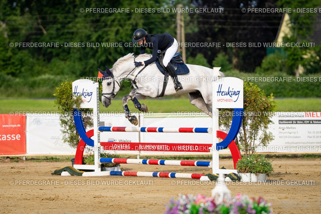 DSC02366 | Pferdegrafie