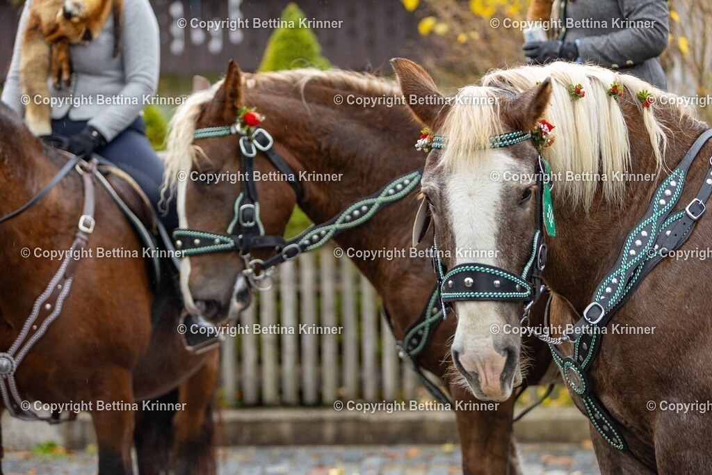 LL25-324 | foto-bettina-krinner - Realisiert mit Pictrs.com