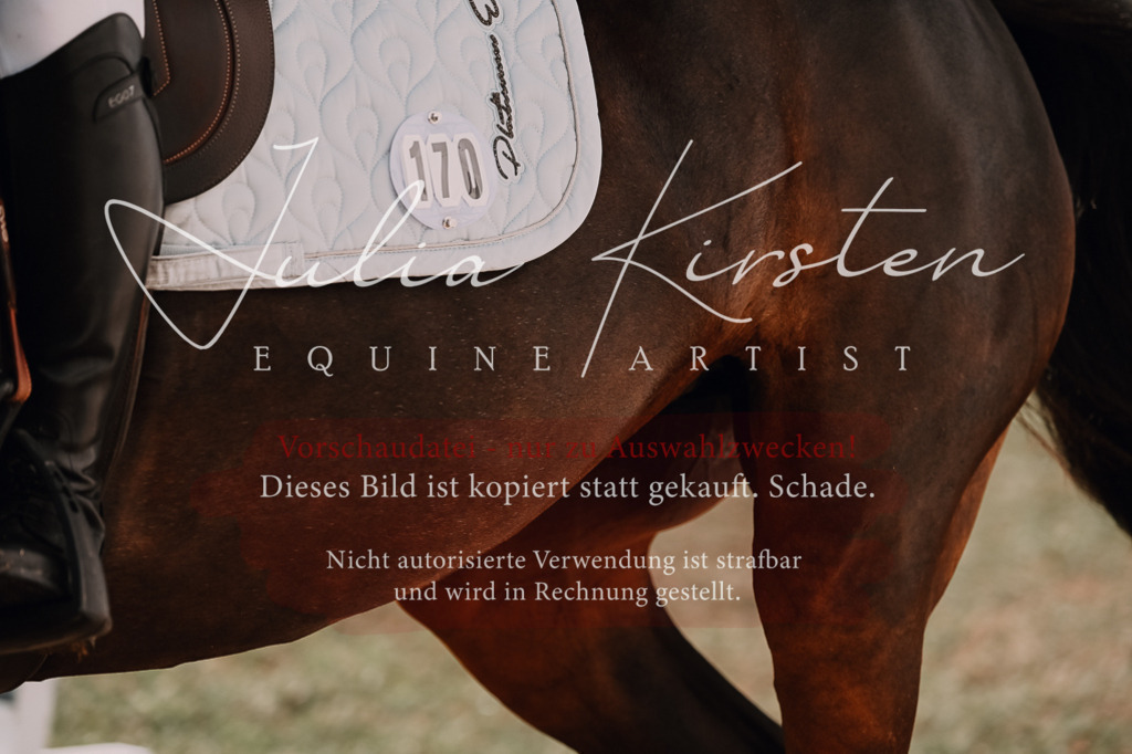 DSC_4698 | Pferde- und Turnierfotografie in Westsachsen. Pferdeportraits, Auftragszeichnungen und intuitive Kunst.