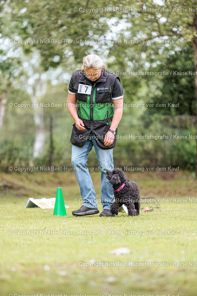 RO-Blumenthal-2026-Nickbest-Hundefotografie-1962 | Dein Hund! Dein Moment! Deine Erinnerungen! Hundefotografie in Bremen Blumenthal. Ich fange die besonderen Momente deines Vierbeiners ein – ob Indoor mit Blitzanlage oder in der freien Natur. Sicher dir dein Moment und dein Termin für eure Erinnerungen.
