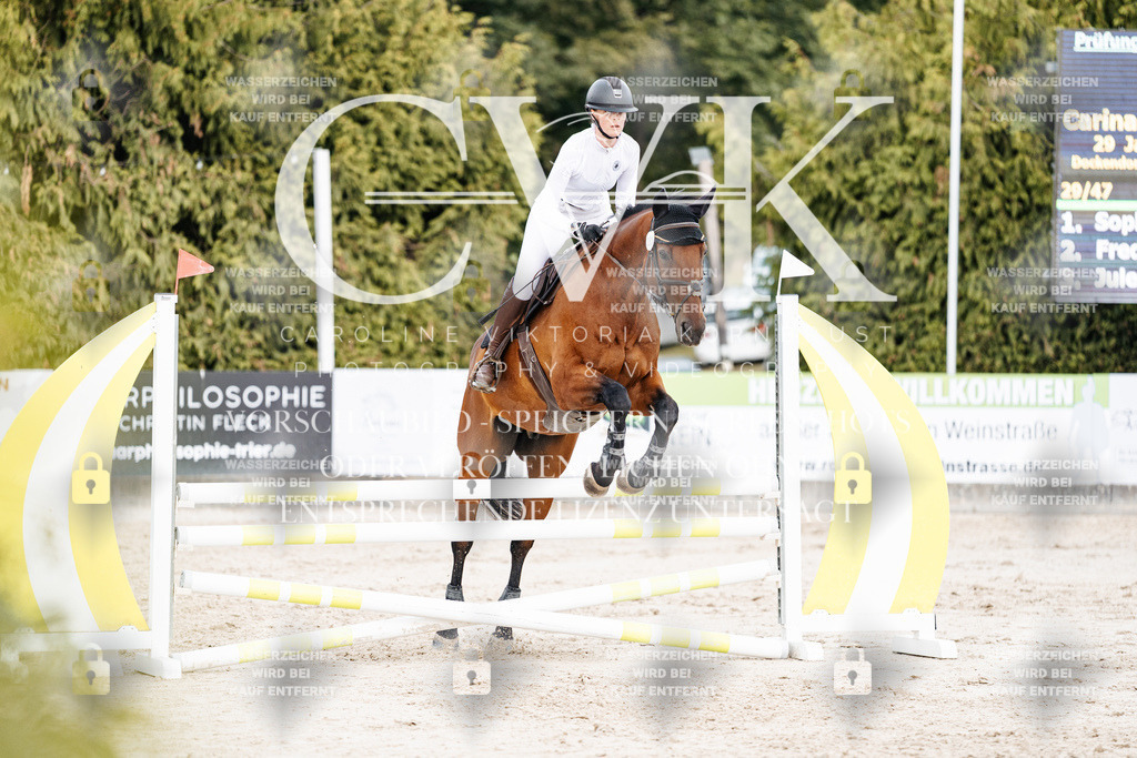 CK902693 | Turnierfotografie Pferdefotografie Trier Rheinland-Pfalz Pferdesport Reitsport Tierfotografie Sportfotografie Pferdevideo Pferdevideografie Equestrianvideography equestrianphotography  - Realisiert mit Pictrs.com