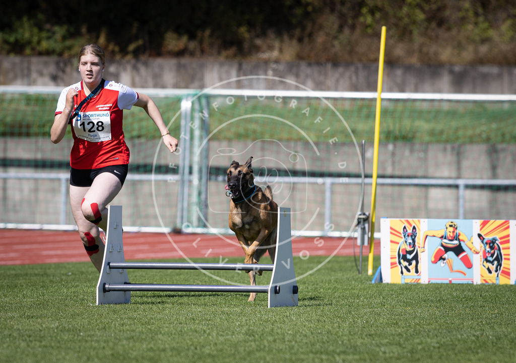 Pfotenfotografie_DV3A8691 | Hundefotografie, Tierfotograf, Pfotenfotografie, Fotoshooting Hund, Hunde Portrait, Hundesport, Hundeportraits, Heideshooting, Hunde, Sportfotograf, Hundefotograf, Turnierhundsport, THS,  - Realisiert mit Pictrs.com