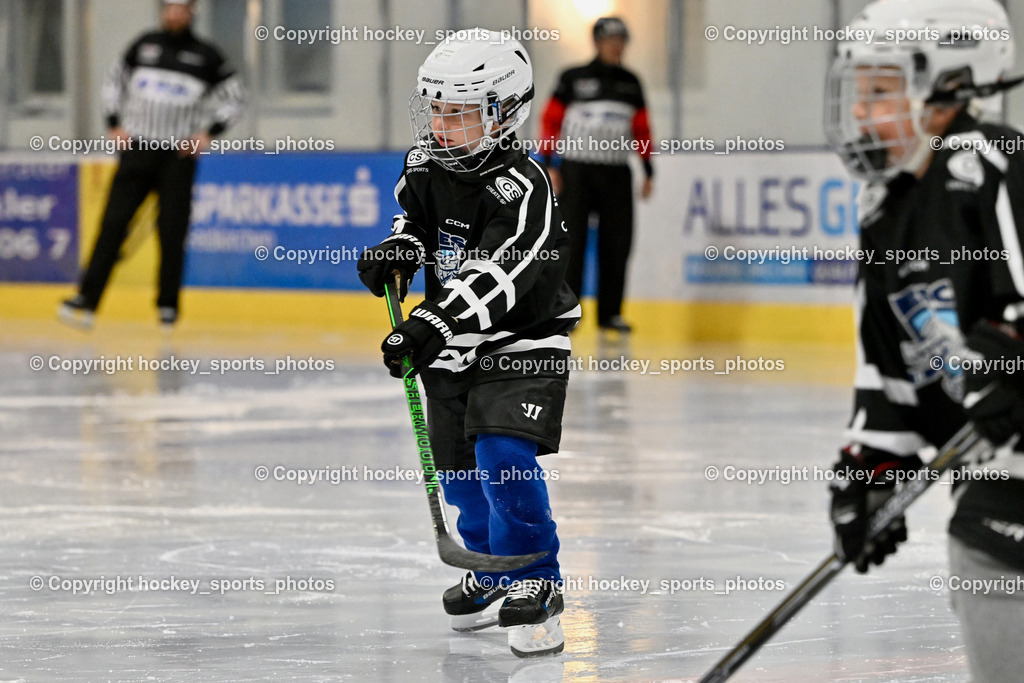 ESC Sparkasse Steindorf vs. LE Kings | Nachwuchs ESC Steindorf, ESC Sparkasse Steindorf vs. LE Kings, ESC Sparkasse Steindorf vs. LE Kings am 01.11.2025 in Steindorf (Ossiachersee Halle), Austria, (Photo by Bernd Stefan)