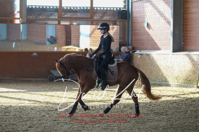 DKP42601 | Turniersportfotografie; Pferdefotografie; Dressurfotografie