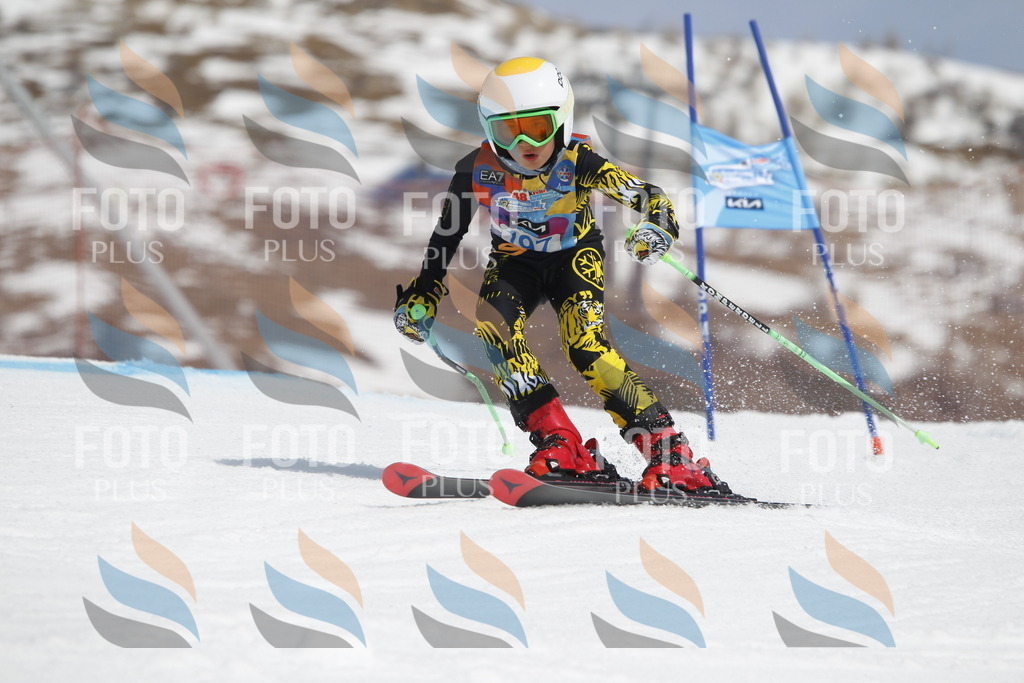 _U3G1985 | holidayphoto