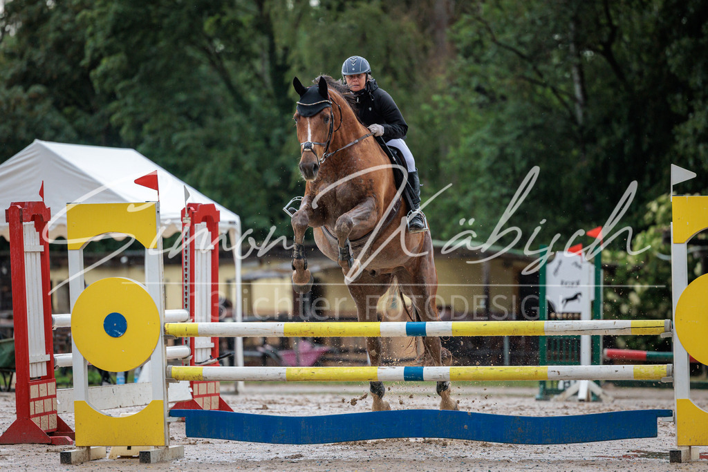 20260531-_3LI3714 | Tierfotografie Pferde, Hunde, Katzen, Haustiere.
Turnierfotografie Reitturniere, Reiten, Springreiten, Dressur in Hanau, dem Main-Kinzig-Kreis und dem Rhein-Main- Gebiet um Frankfurt