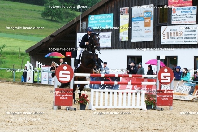 OHT2521 | Fotografie, Tiere, Hunde, Katzen, Pferde, Sportfotografie, Fotosession, Tierfotografie, Turnierfotografie, Fotografin, Fotograf - Realisiert mit Pictrs.com