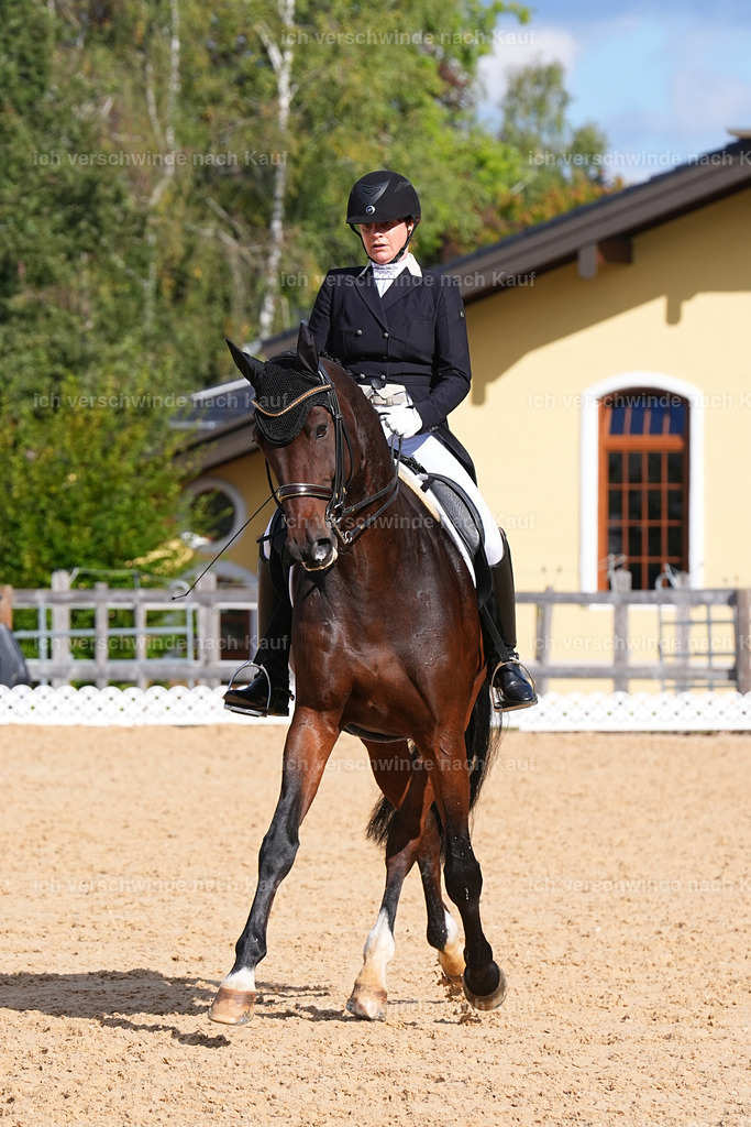09_2-174-DRESSUR  S_  -Marixx-5944 | working equitationturnier fotograf videograf stoibphotography marixx film working equitation deutschland reitsport turnierfotografie eventfotografie equestrian events