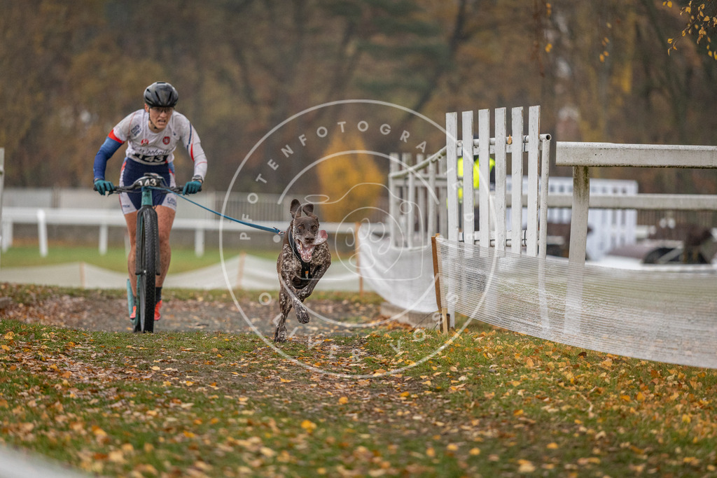CaniXpix_DV3A7421 | Hundefotografie, Tierfotograf, Pfotenfotografie, Fotoshooting Hund, Hunde Portrait, Hundesport, Hundeportraits, Heideshooting, Hunde, Sportfotograf, Hundefotograf, Turnierhundsport, THS,  - Realisiert mit Pictrs.com