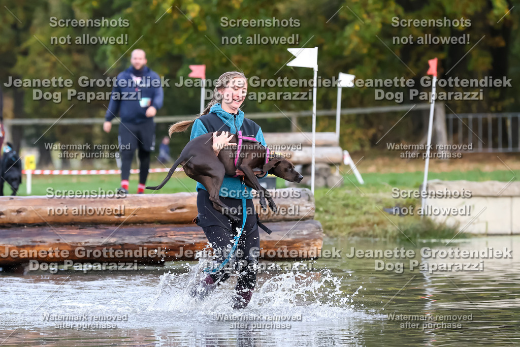 Dog Paparazzi - Strongdog 10-25-6547 | Dog Paparazzi Jeanette Grottendiek Fotografie & Videografie - Realisiert mit Pictrs.com