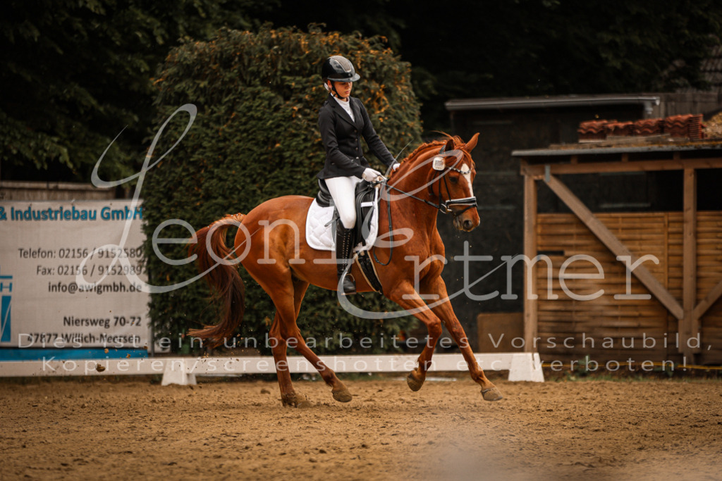 DoDrE00251 | Leoni Ertmer Photography - Realisiert mit Pictrs.com