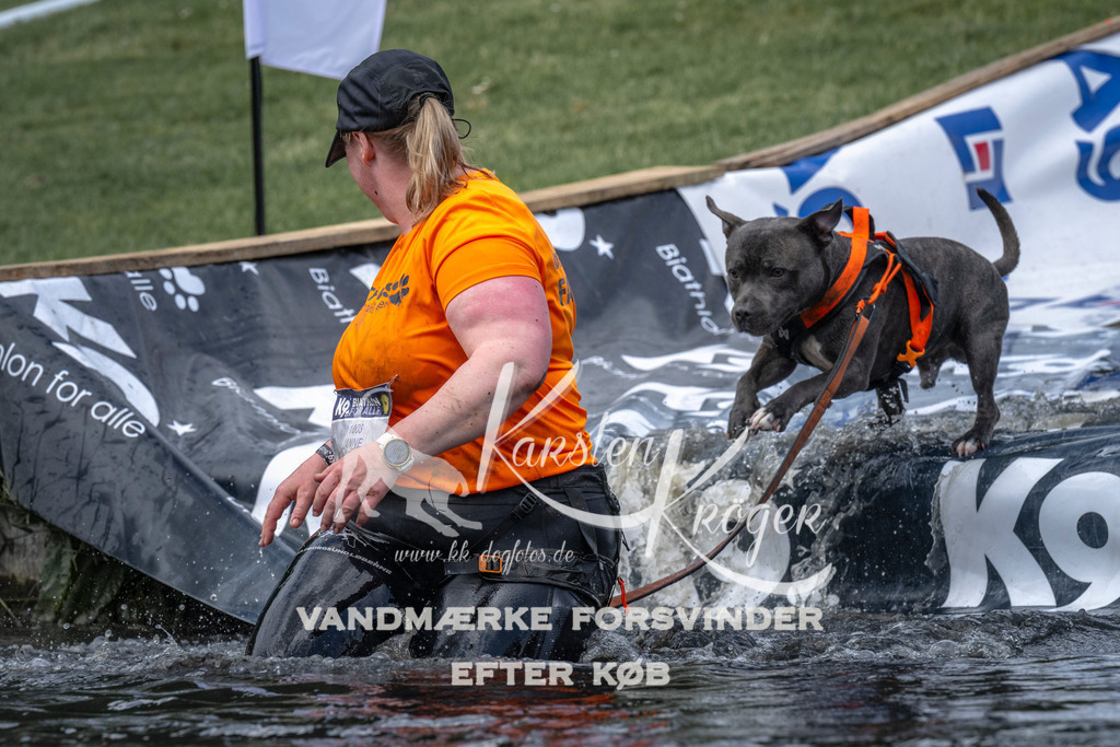 1129_ZZ92569 | kk-dogfotos