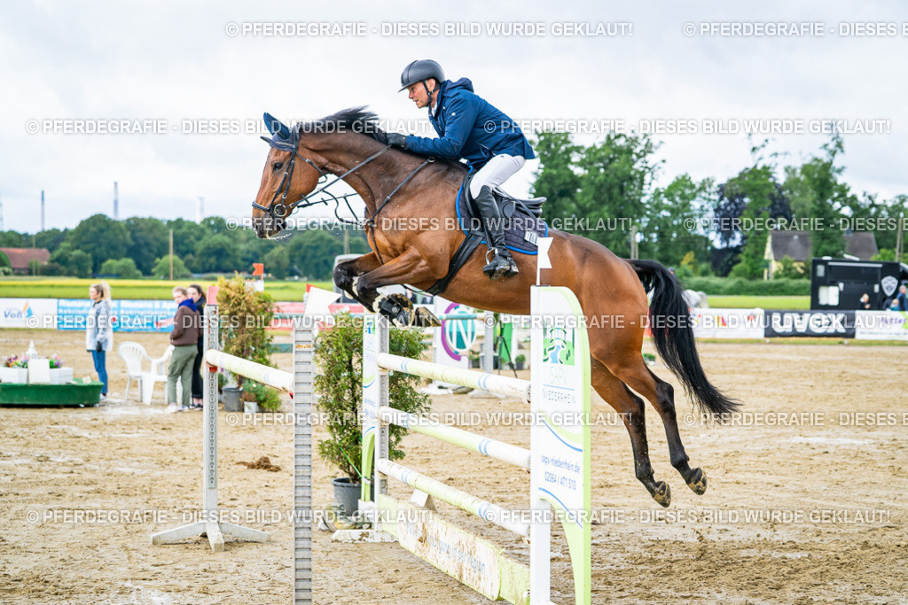 DSC04139 | Pferdegrafie