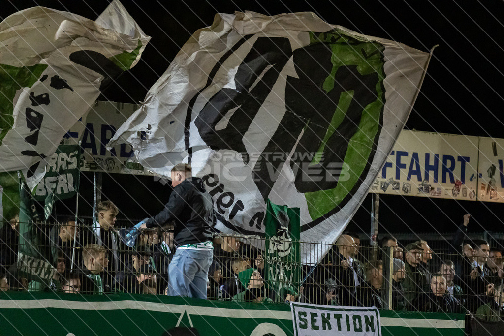 20251017_Picselweb-Fotografie_1R3_1449 | Dein Fotograf aus dem Landkreis Stade für Sport und Events - Realisiert mit Pictrs.com