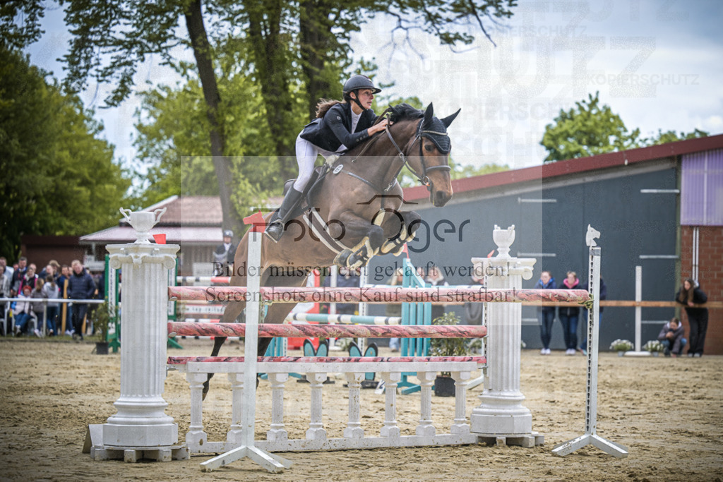 DOS_2038 | Entdecke hochwertige Reitturnierfotos von Foto Oger. Professionell, emotional und authentisch – jetzt Lieblingsmomente im Shop bestellen. - Realisiert mit Pictrs.com