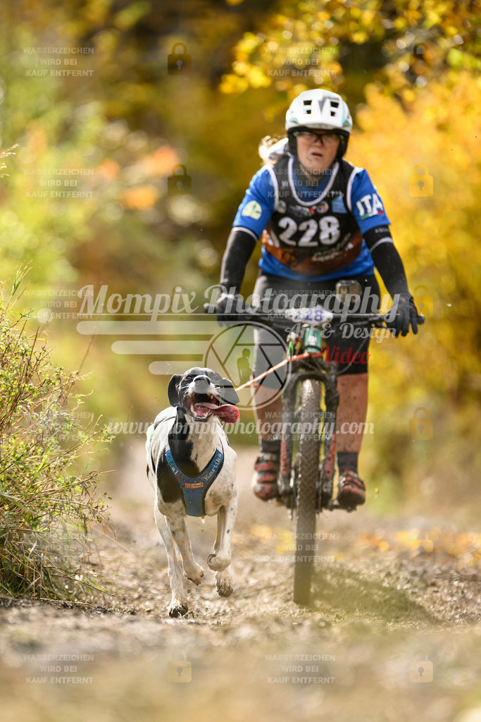 MompixPhotography_ICF_WC_2024_SA_Bike_-390 | PayLife