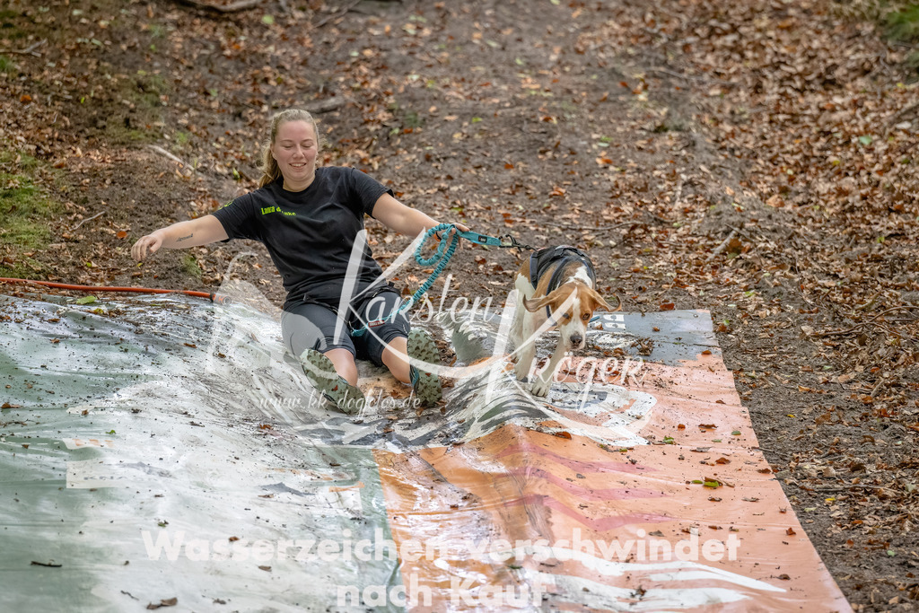 1104_ZZ94634-Bearbeitet | kk-dogfotos