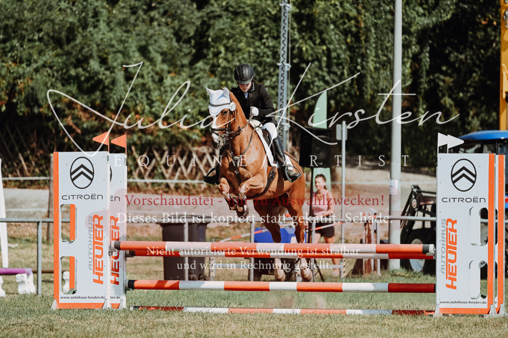 DSC_9594 | Pferde- und Turnierfotografie in Westsachsen. Pferdeportraits, Auftragszeichnungen und intuitive Kunst.